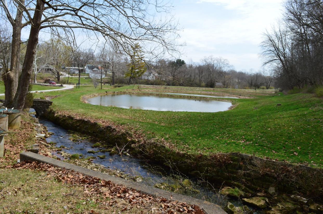 The stream and a pond at the former Avoca Fish Hatchery.