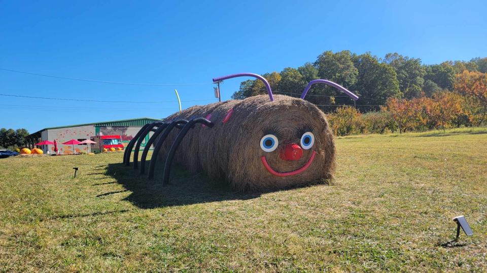 Located at 3016 Chimney Rock Road, J&M Farms can easily be seen from the road by its giant hay caterpillar. The farm, previously known as Freeman Orchards, has 150 acres, growing apples, vegetables and currently pumpkins.