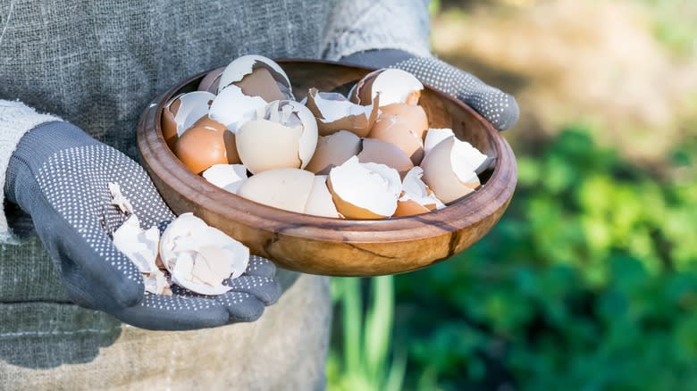 eggshells in bowl and hand