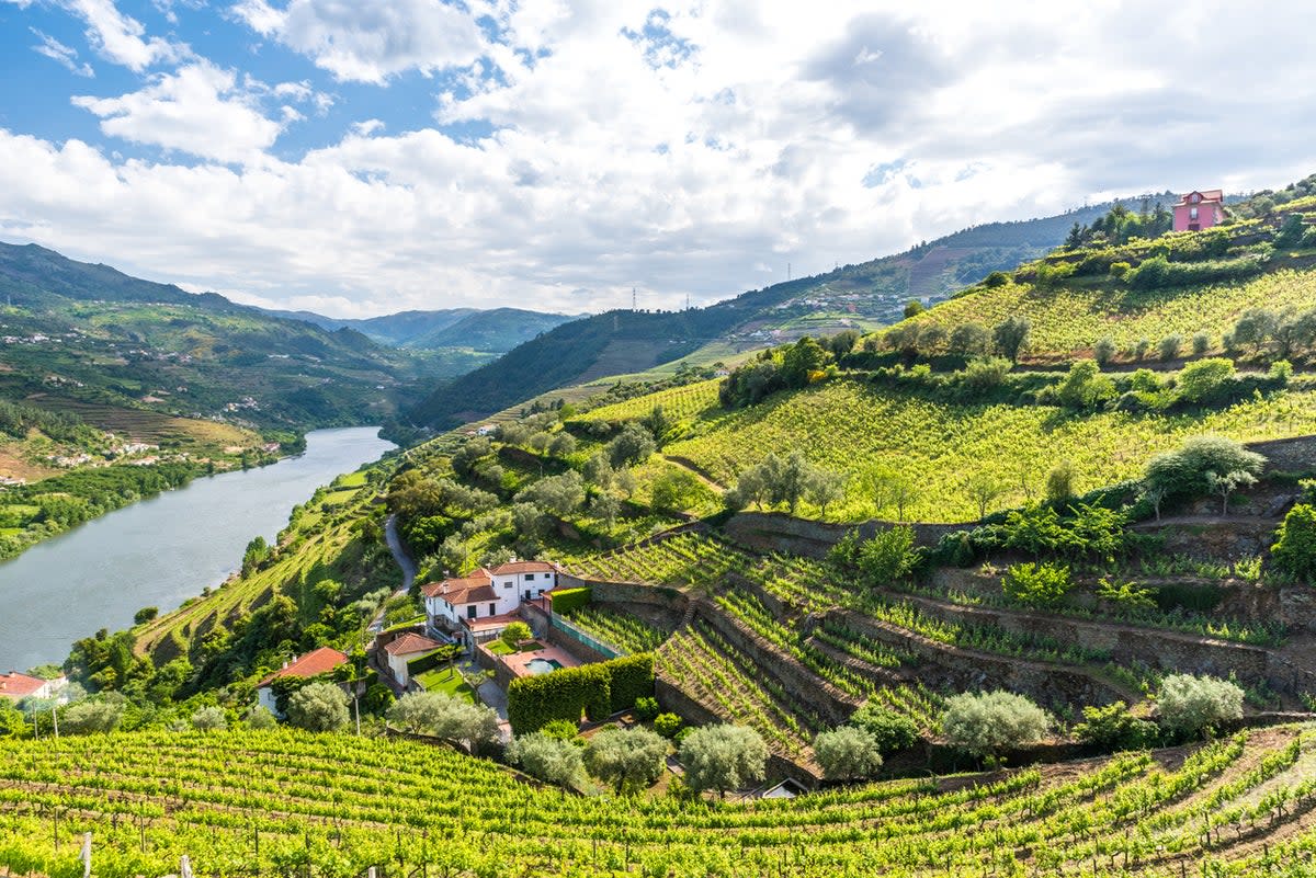 The Douro Valley is one of Portugal’s most renowned wine-producing regions (Getty Images/iStockphoto)