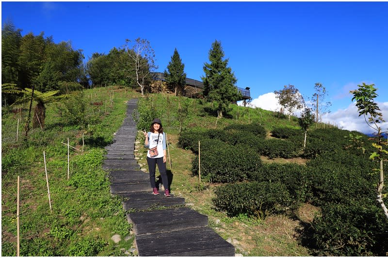 嘉義｜茶林山步道