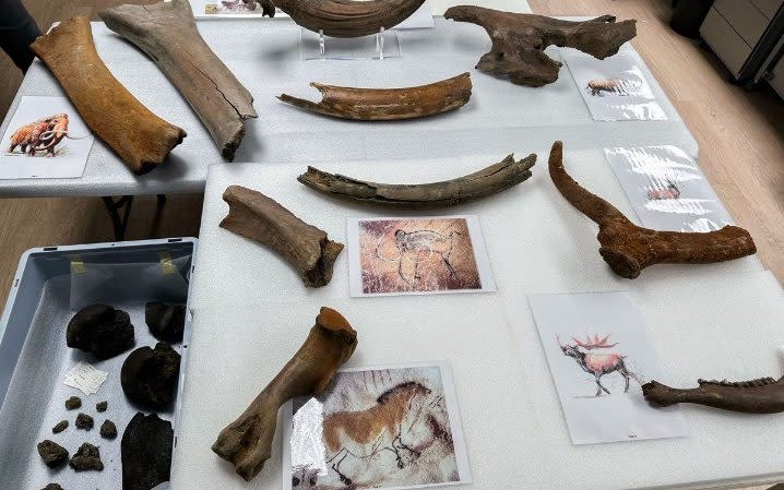 Mammoth bones and bones of other prehistoric animals