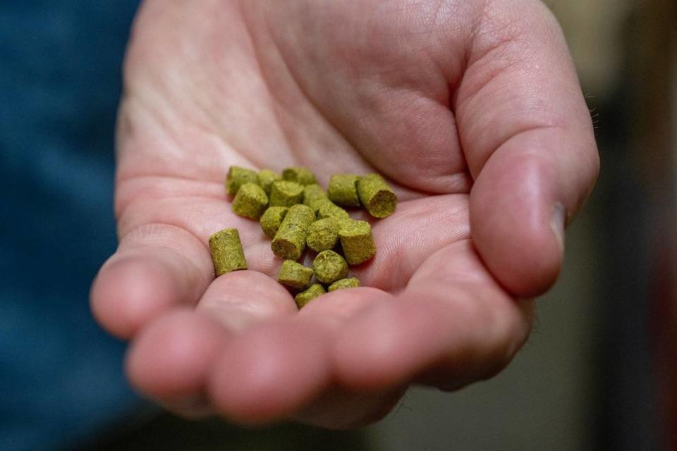 Adam Hall, brand manager, showcases a variety of hops used to flavor beer at Boulevard.