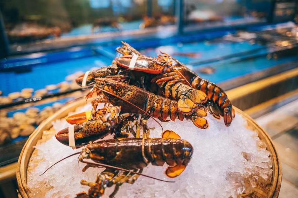 Macau Buffet Offer｜Lisboa Hotel Buffet Mountain Buffet Limited Edition Buy 1 Get 1 Free!Starting from $460 per person, you can eat Bak Kut Teh/variety of seafood/sata kebabs + all-you-can-eat live seafood for an additional fee