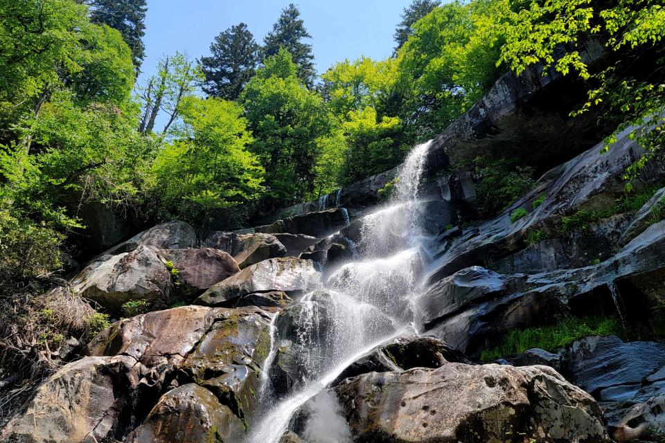Ramsey Cascades is seen in the Greenbrier area of the Great Smoky Mountains National Park on Saturday, June 17, 2023. The waterfall is one of the tallest waterfalls in the national park. 
