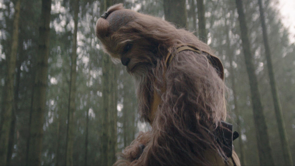 Kelnacca stands alone in a forest looking down at something in Star Wars: The Acolyte