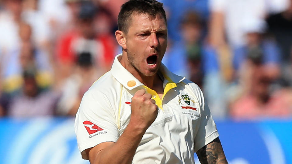 James Pattinson celebrates a wicket during the first Ashes Test. (Photo by LINDSEY PARNABY/AFP/Getty Images)