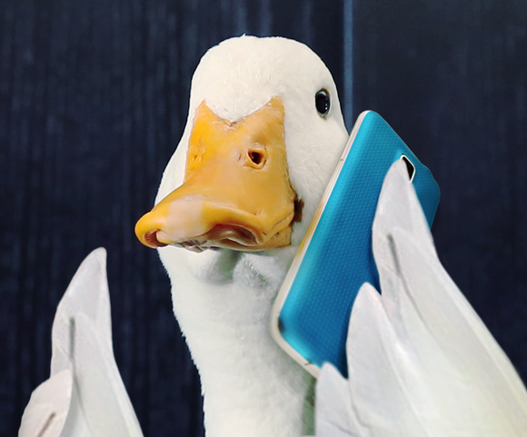 Aflac duck talking on a smartphone.