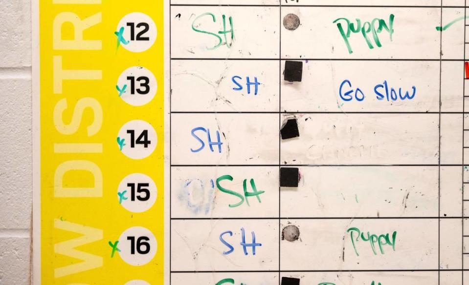 A white board marked with “SH” indicates “stray hold” dogs, those found and held at KC Pet Project for five days before being offered for adoption on day six.