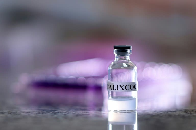 View of a vial of Calixcoca, a vaccine for cocaine and crack addiction being developed at the Federal University of Minas Gerais in Brazil (Douglas Magno)