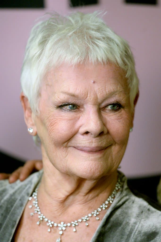 gray hair color ideas judi dench