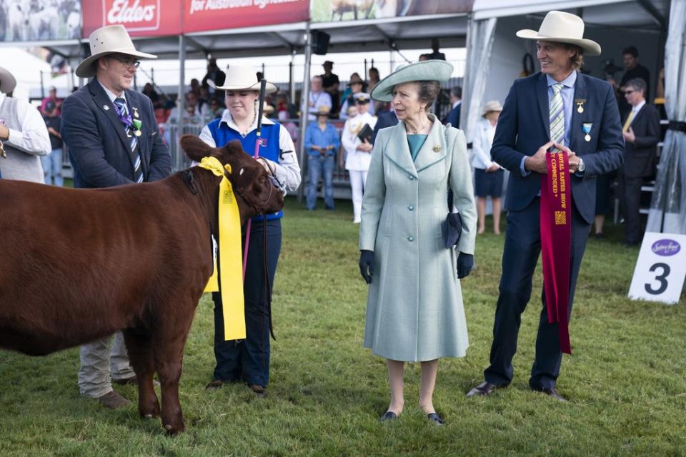 The Princess Royal awards ribbons at the Sydney Royal Cattle Show (Kirsty O’Connor/PA) (PA Wire)