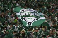 Saskatchewan Roughriders fans wave a flag in support of their team as they met the Hamilton Tiger Cats in the first half of the CFL's 101st Grey Cup championship football game in Regina, Saskatchewan November 24, 2013. REUTERS/Todd Korol (CANADA - Tags: SPORT FOOTBALL)