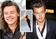 <p>One Direction star Harry Styles has always been famed for his long mane of hair, and last year he shocked us all when he took to Instagram to share a photo of his lopped off hair as he held his thumb up. The caption simply read: ‘Whoops. #LittlePrincessTrust”, donating the hair to the same charity as Mario.</p>