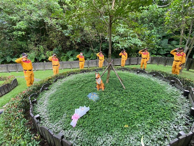 北市搜救隊昨日替榮譽搜救犬Pasha進行灑葬儀式，同時獻上鮮花紀念。（圖／翻攝自台北市搜救隊臉書）