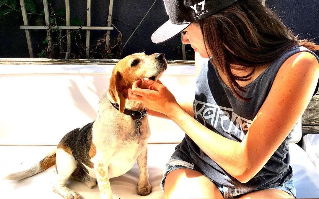 Meghan Markle with her beagle Guy in a picture posted on Instagram in June 2016 - Instagram