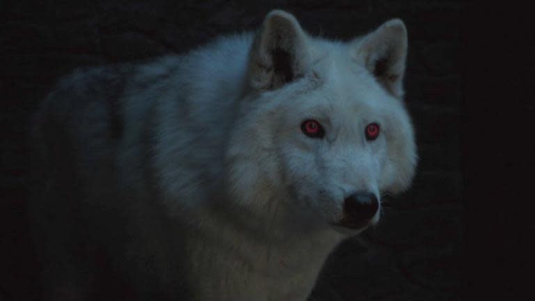 Game of Thrones season 8: Where is Ghost? Fans relieved after Jon Snow's direwolf spotted in episode 4 trailer