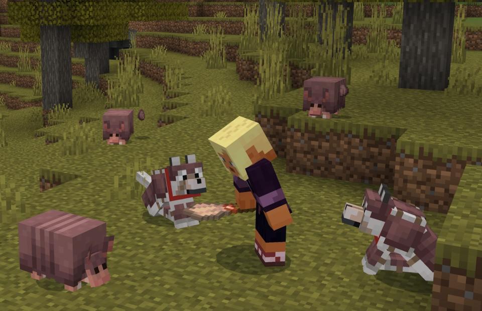 《Minecraft》提早更新內容，觀眾投票生物犰狳與狼的多品種先行加入（圖源：Mojang）