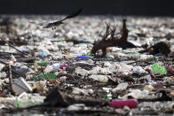 A bird flies above tons of waste floating on Lim river near Priboj, Serbia, Monday, Jan. 30, 2023. Plastic bottles, wooden planks, rusty barrels and other garbage dumped in poorly regulated riverside landfills or directly into the rivers accumulated during high water season, behind a trash barrier in the Lim river in southwestern Serbia. (AP Photo/Armin Durgut)