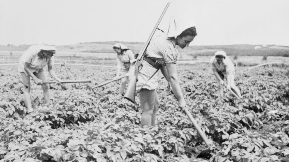 Women are seen farming in this undated photo at Deganya. - Bettmann Archive/Getty Images