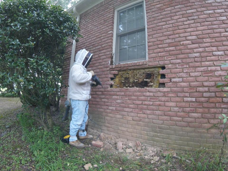 Five rows of bricks removed and there is still more hidden. Photo: Facebook/Bartlett Bee Whisperer