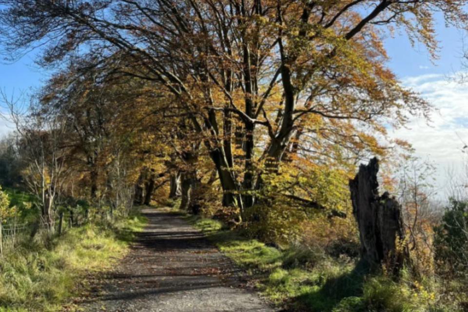 Glasgow Times: The Cadder and Lennox Forest Circular starts in Bishopbriggs and is 16km long