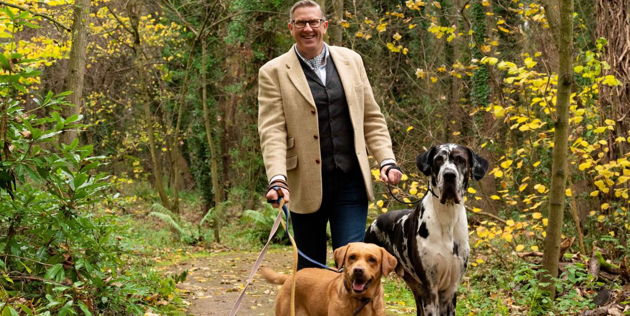 dog trainer graeme hall on a country walk with 4 dogs