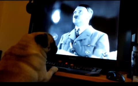 Mark Meechan taught his girlfriend's dog to give a Nazi salute - Credit: Press Team