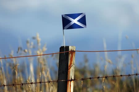 A Scottish Saltire flag flies from a fence post near Portree on the Isle of Skye September 17, 2014. REUTERS/Cathal McNaughton