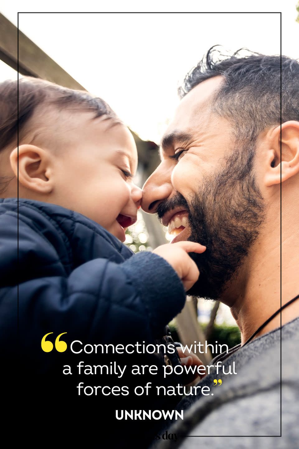 <p>“Connections within a family are powerful forces of nature.” </p>