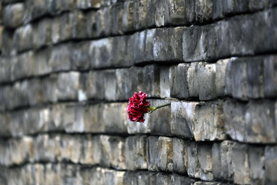 A carnation is placed by mourners onto a barricade in Kiev's Independent Square