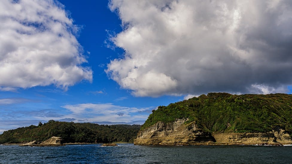 Isla Guafo