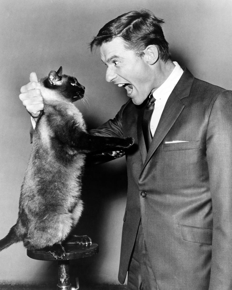 Roddy McDowall in That Darn Cat