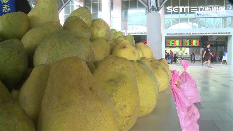 台東泰源是以白柚起家，文旦也有一定的水準。（圖／記者王浩原攝影）