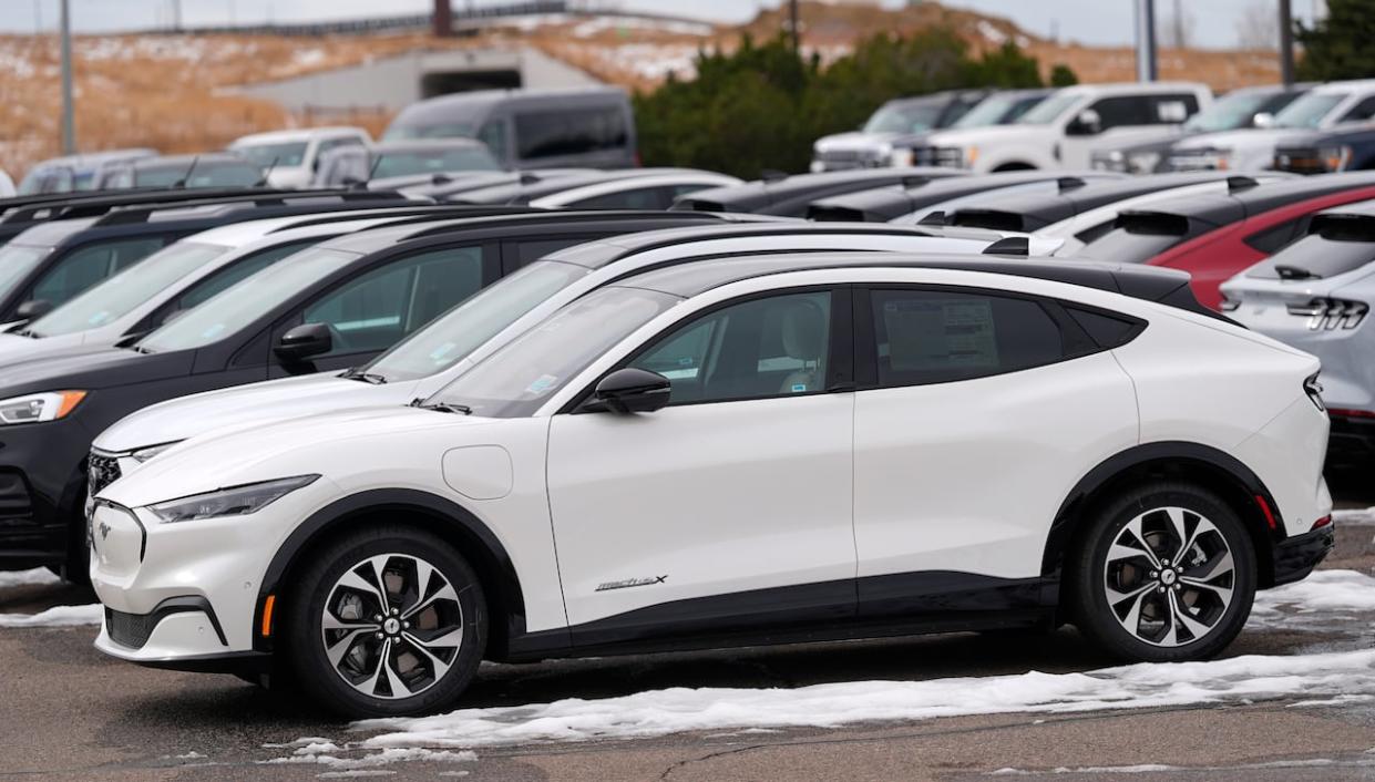 2024 Mustang Mach-E electric vehicles sit in a long row at a Ford dealership in a file photo. As early as January 2025, an annual $200 tax will apply to electric vehicles in Alberta. (David Zalubowski/AP Photo - image credit)