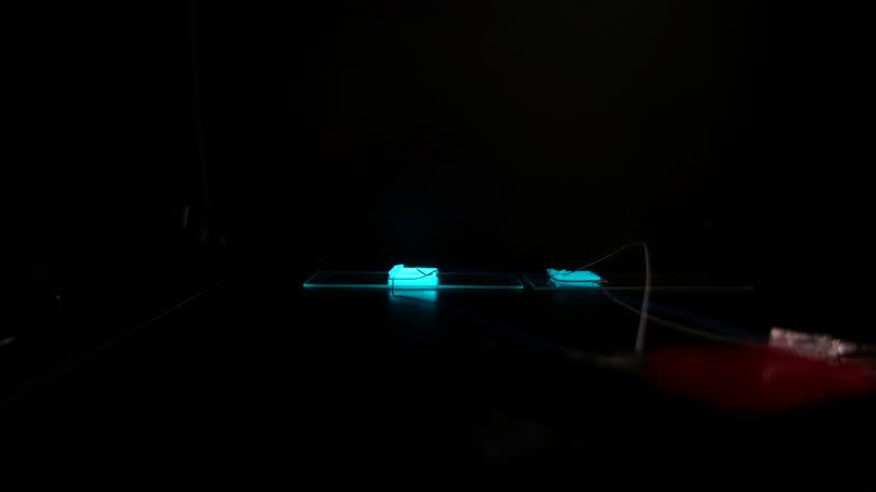 A light emitting skin developed by Dr. Benjamin Tee and his team is displayed at a lab in NUS in Singapore