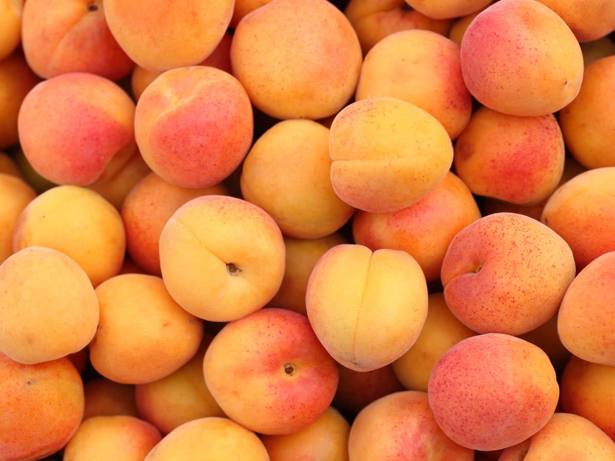 The UK has produced a whopping 250 tons of apricots this year  (Getty/iStock)