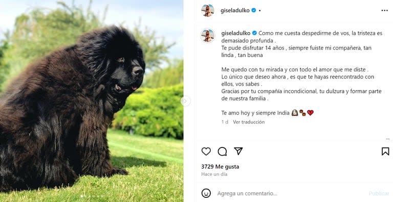 Gisela Dulko dedicó un sentido mensaje a su perrita