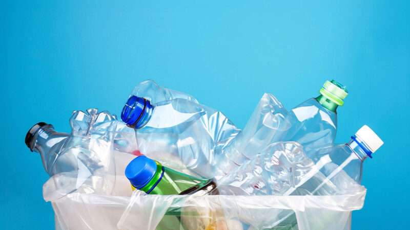 A photo of empty plastic bottles filling a recycling bin