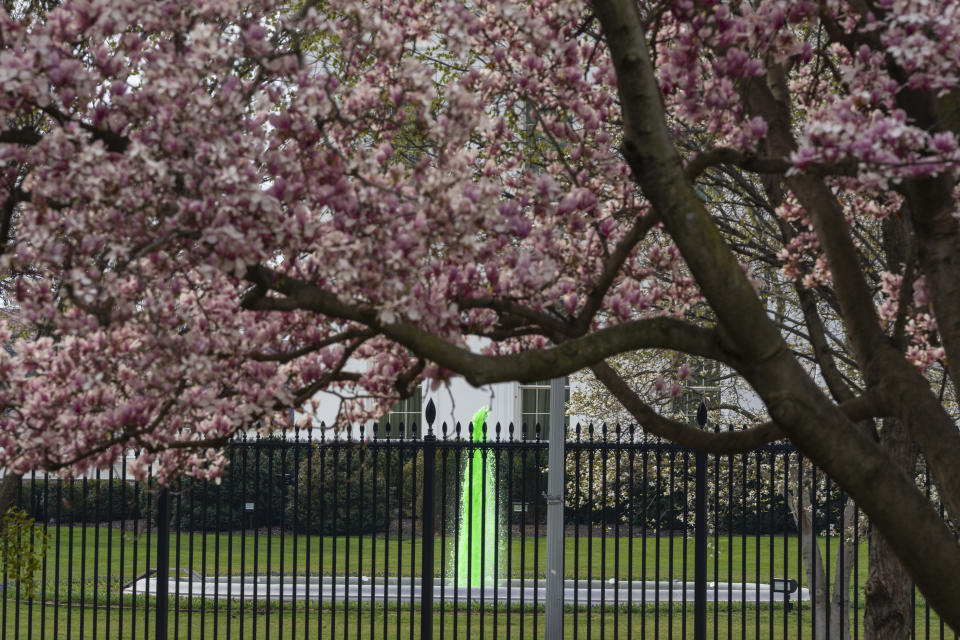 The fountain on the North Lawn of the White House is dyed green for St. Patrick's Day, Friday, March 17, 2023, in Washington. (AP Photo/Alex Brandon)