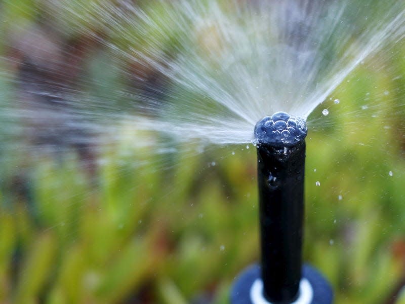 A backyard irrigation sprinkler waters a residential property in Encinitas, California April 21, 2015.  REUTERS/Mike Blake 