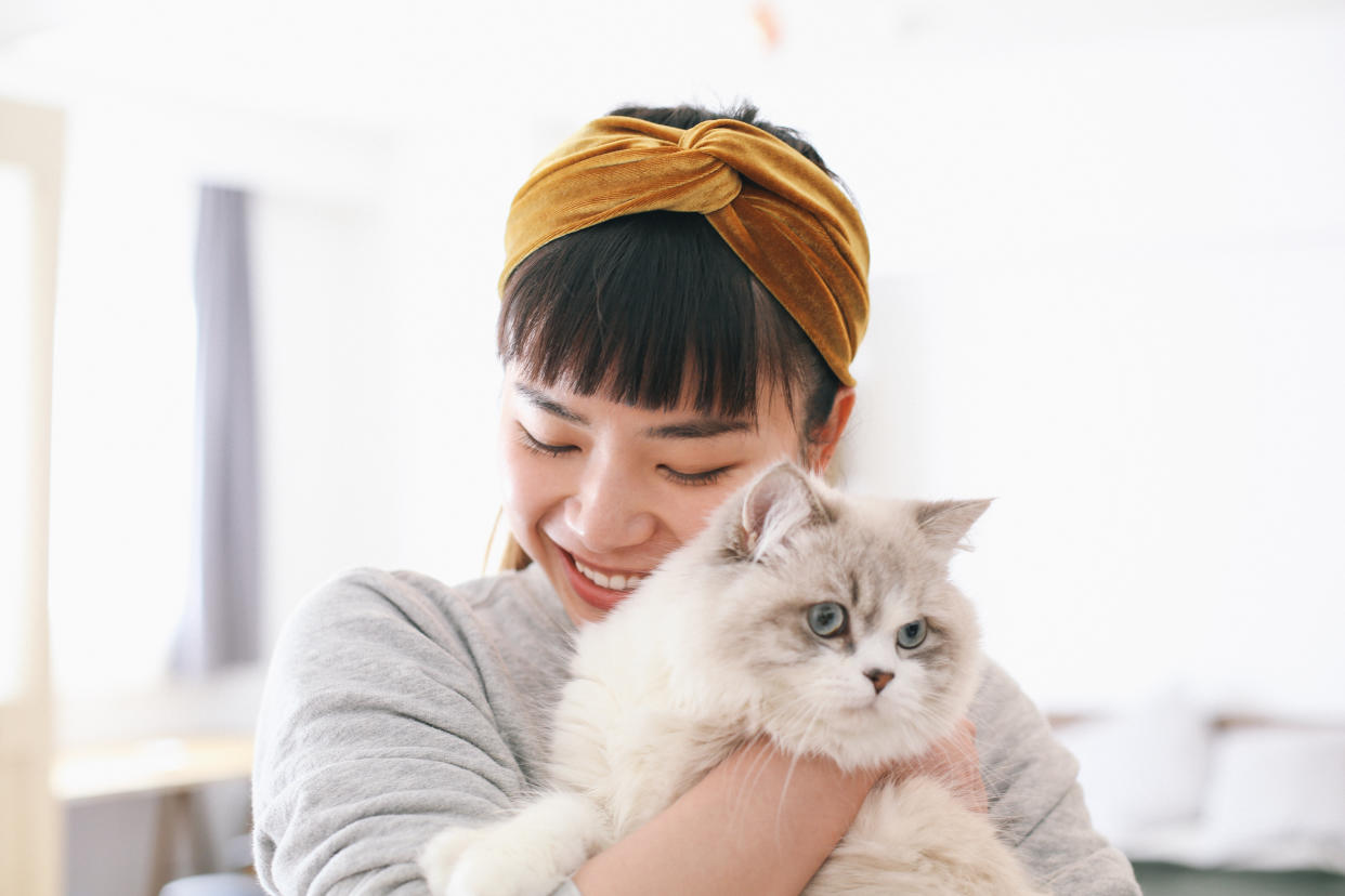 If you own a cat, mesh your windows and doors and don’t let your cat(s) roam free outside your home. (Photo: Gettyimages)