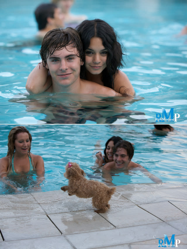 <p>In more <em>High School Musical</em> moments, this is Zac Efron, Vanessa Hudgens, and Ashley Tisdale in a pool and there's also a cute dog (which may well be Ashley's <em>HSM</em> character Sharpay Evans's dog, Boi, in the movie series).</p>