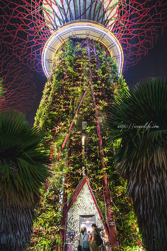 濱海灣花園天空樹