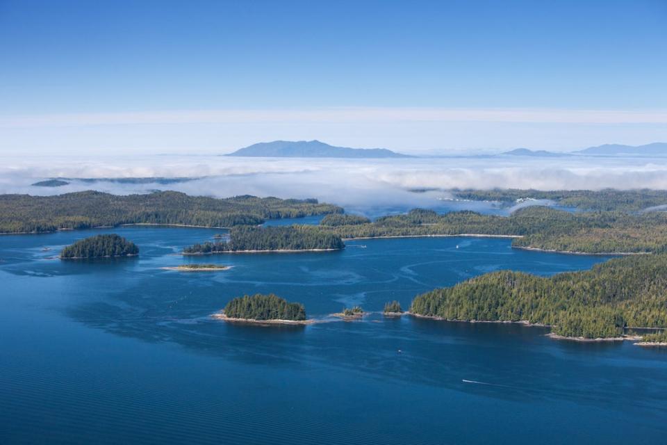 Haida Gwaii is working to restore its natural habitat (Getty/iStock) (Getty Images/iStockphoto)