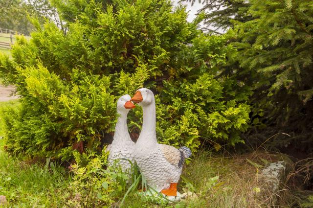 Porch Goose Review: This Nostalgic TikTok Product Is Worth the Hype