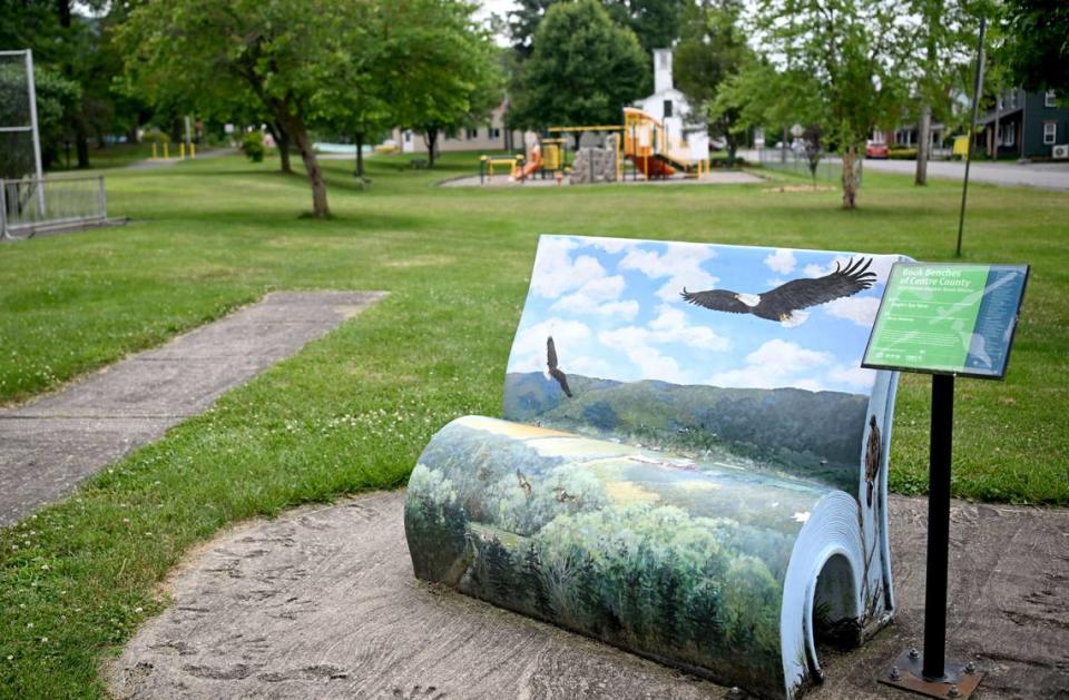 A book bench in Howard Community Park features bald eagles and the mountains.
