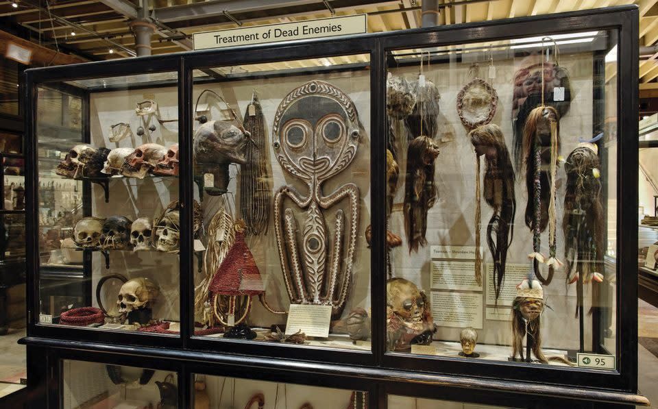 In 2020, human remains were removed from this display at the museum - Pitt Rivers Museum