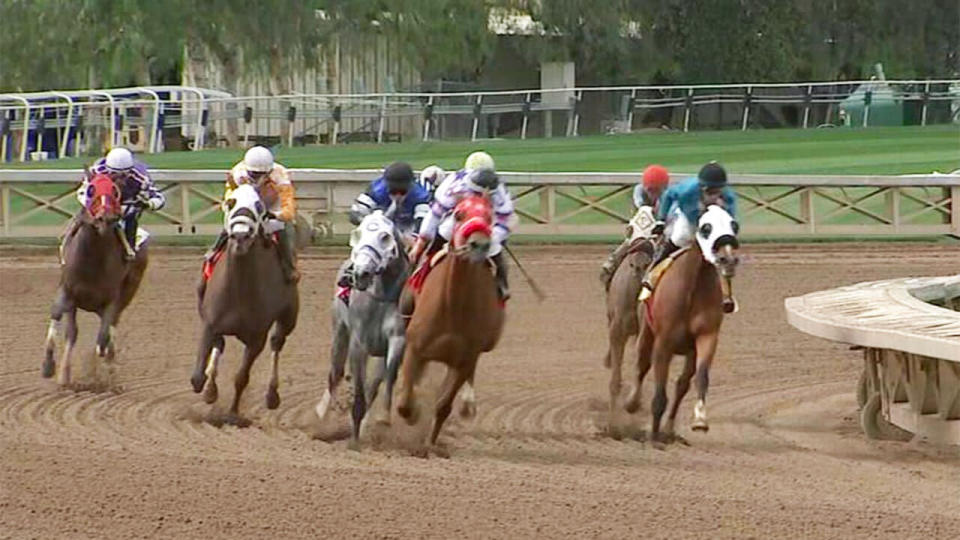 The Santa Anita track has been rocked by a 25th death since December 26. Pic: Twitter