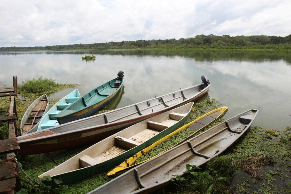 Canoas en la reserva nacional de Limoncocha, Amazonía.